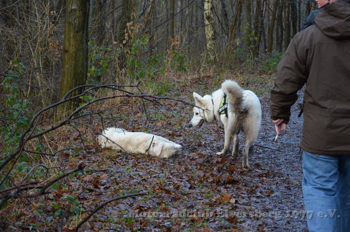 Wandertag 2012 - 105.JPG